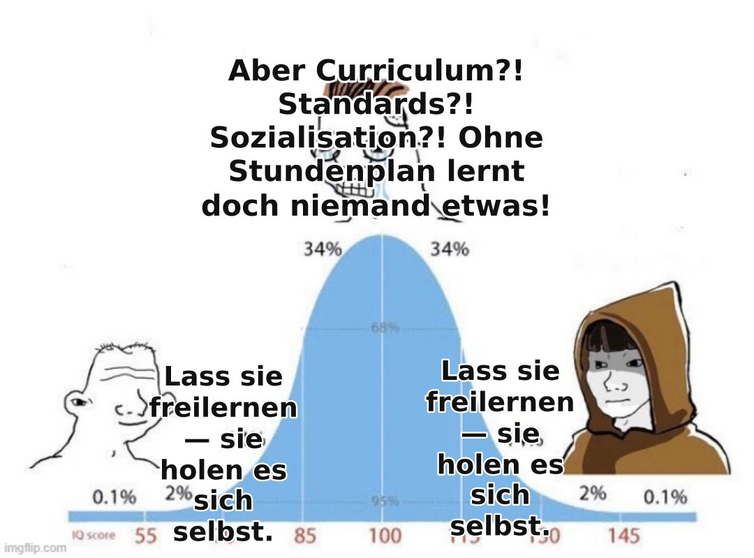 Freilernen heißt nicht Nichtstun — es heißt Lernen, weil man WILL. lyyrn.com