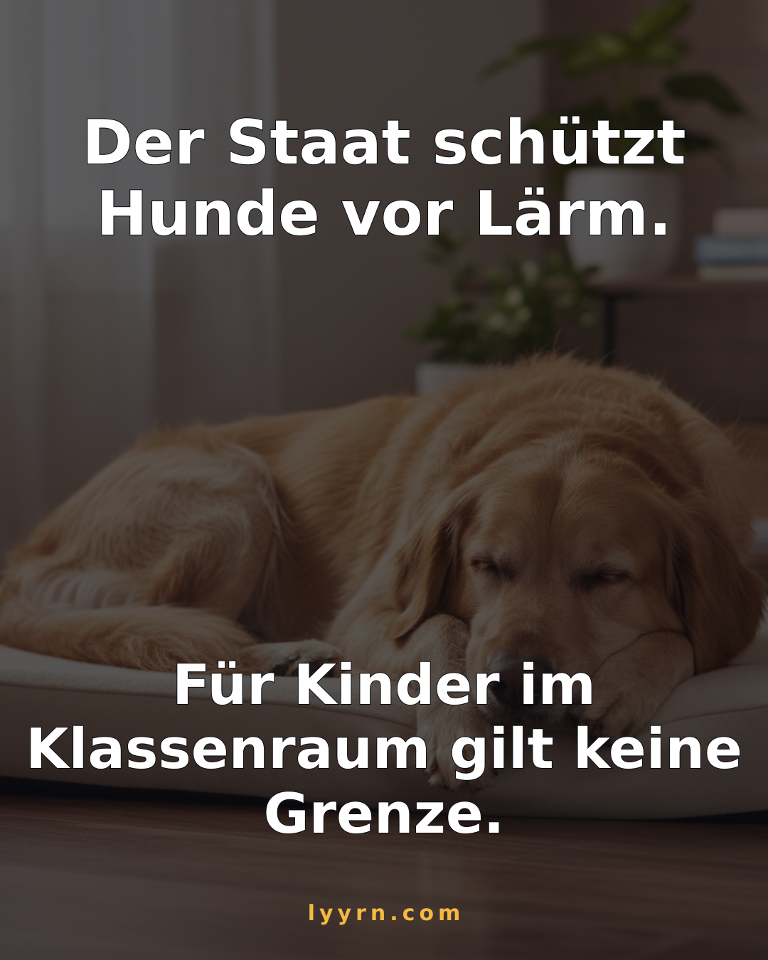 Für Hundezwinger gibt es Lärmschutz-Vorgaben (TierSchHuV). Für Kinder im Klassenraum: keine verbindliche Lärmgrenze. lyyrn.com