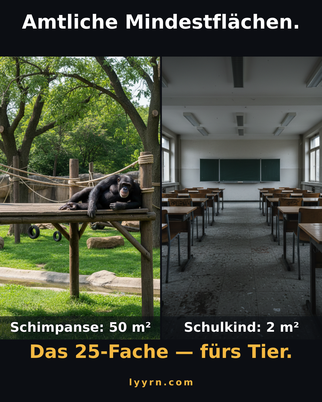 Säugetiergutachten (BMEL): mind. 50 m² pro Schimpanse. Klassenzimmer: ~2 m² pro Kind. Das 25-Fache — fürs Tier. lyyrn.com
